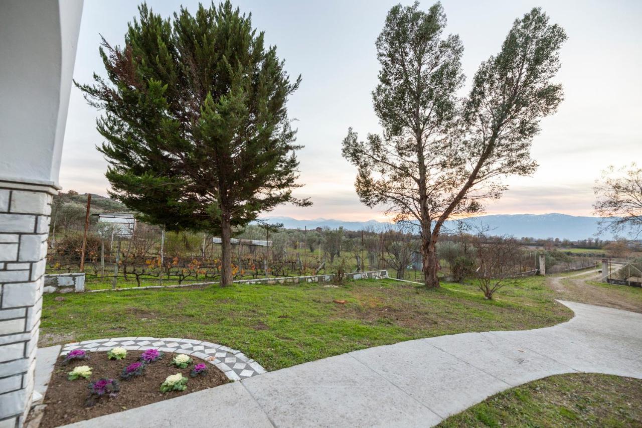 Τrικαλα - Μετεorα-Villa Toscana Trikala  Bagian luar foto